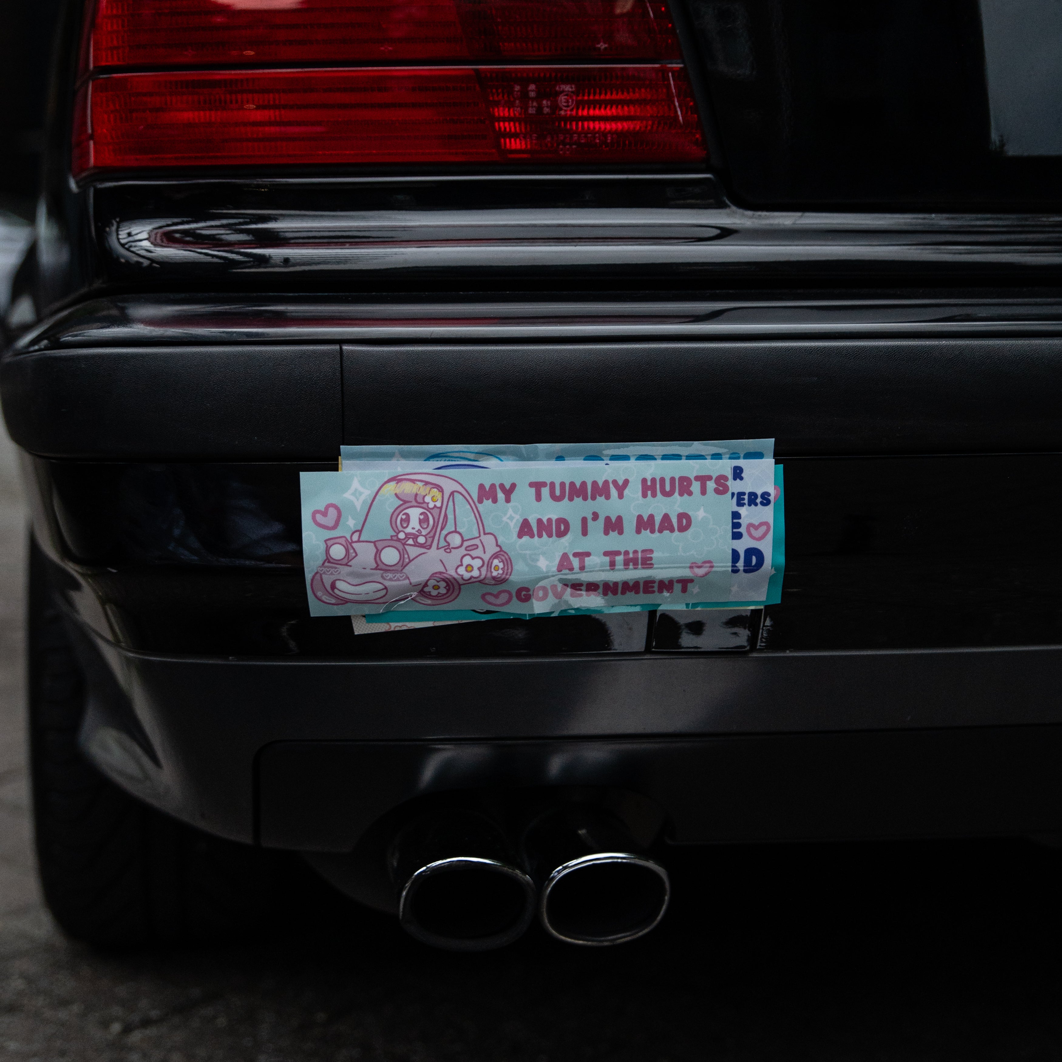 Melody Tummy Hurty And Angee at the Government Bumper Sticker