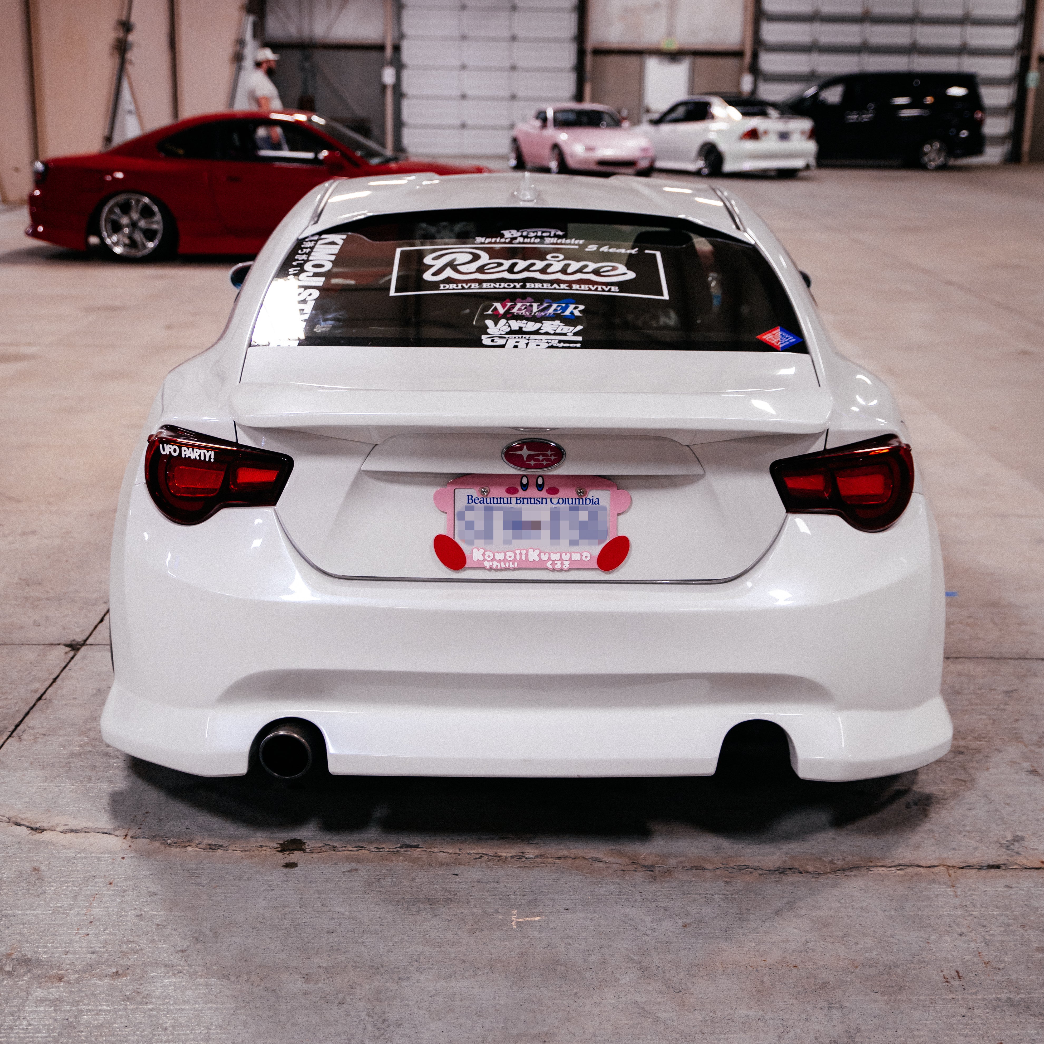 Poyo License Plate Frame