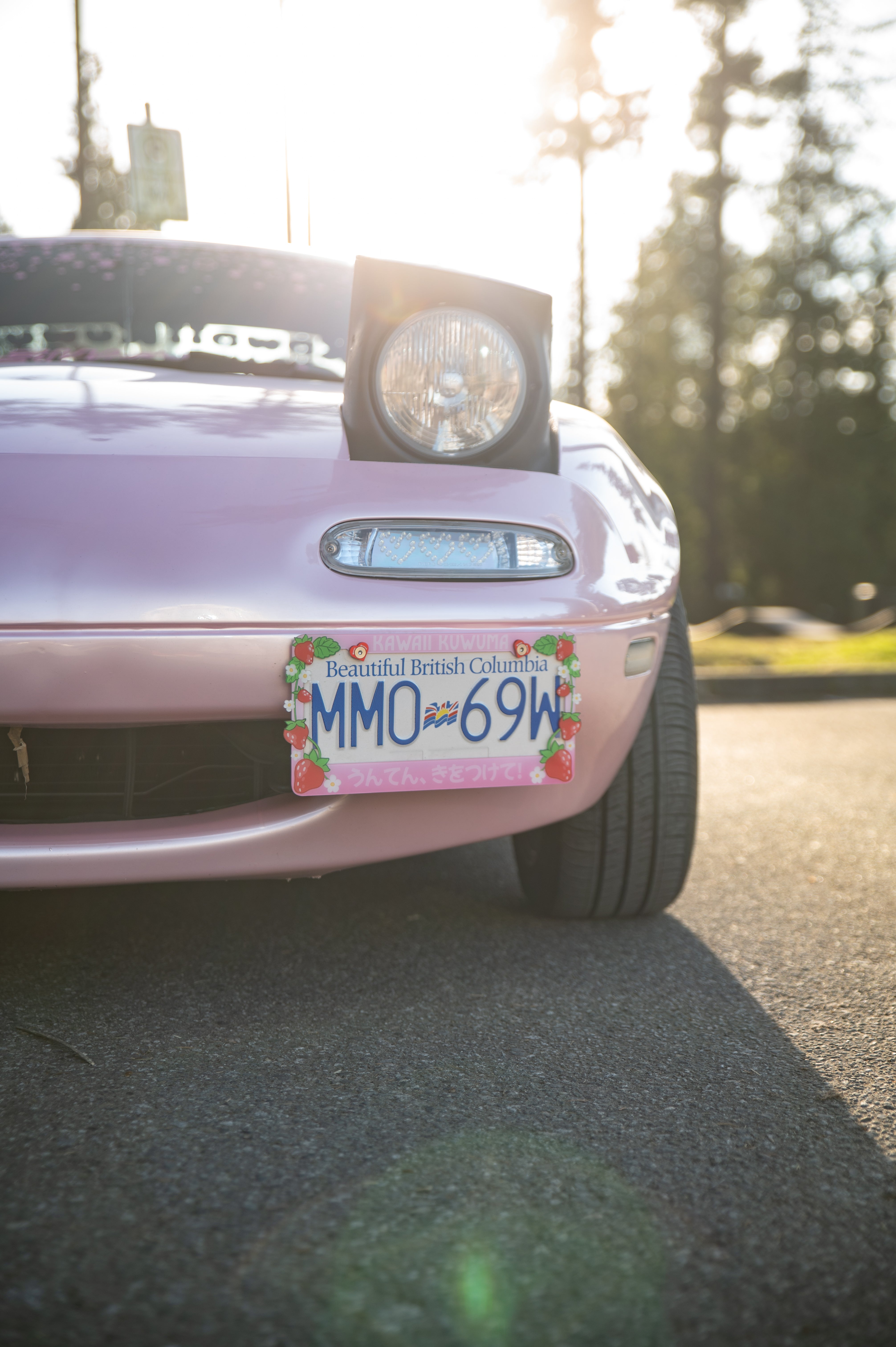 Strawberry License Plate Frame