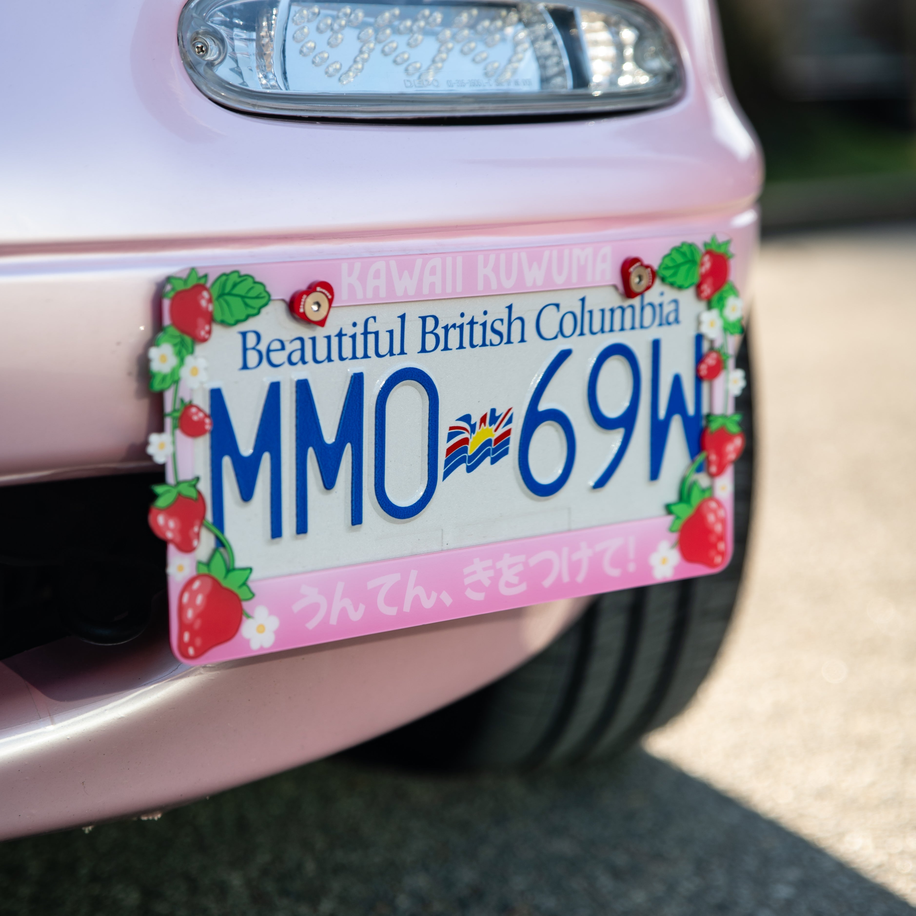 Strawberry License Plate Frame