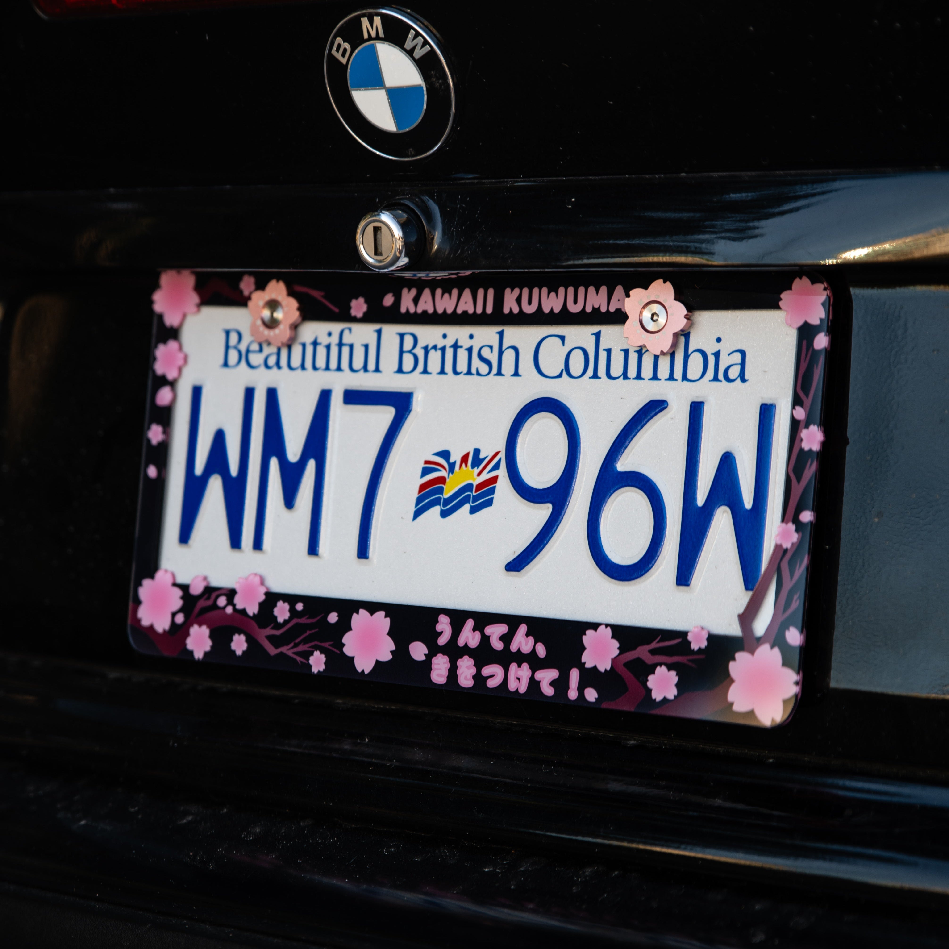 Cherry Blossom Sakura License Plate Frame