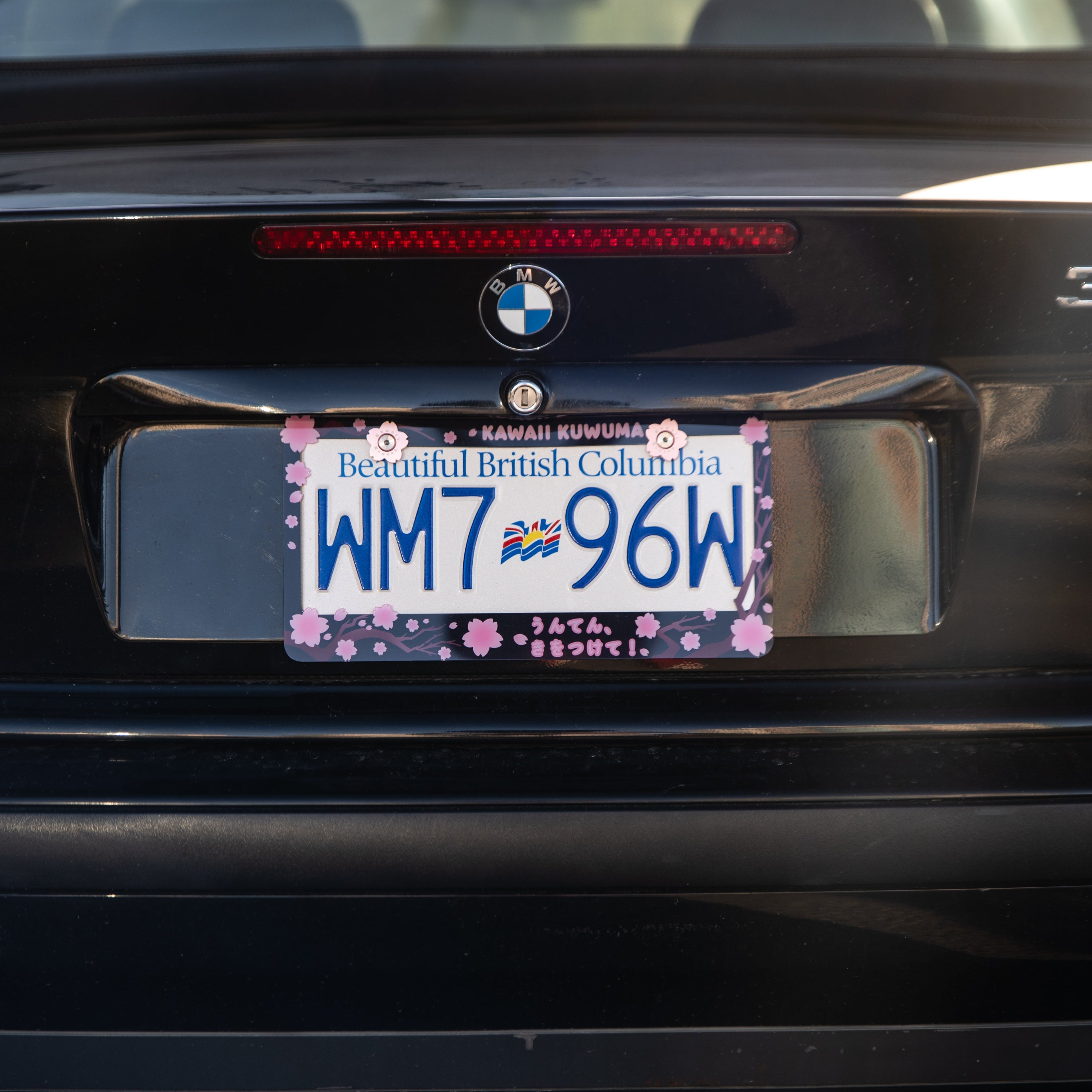 Cherry Blossom Sakura License Plate Frame