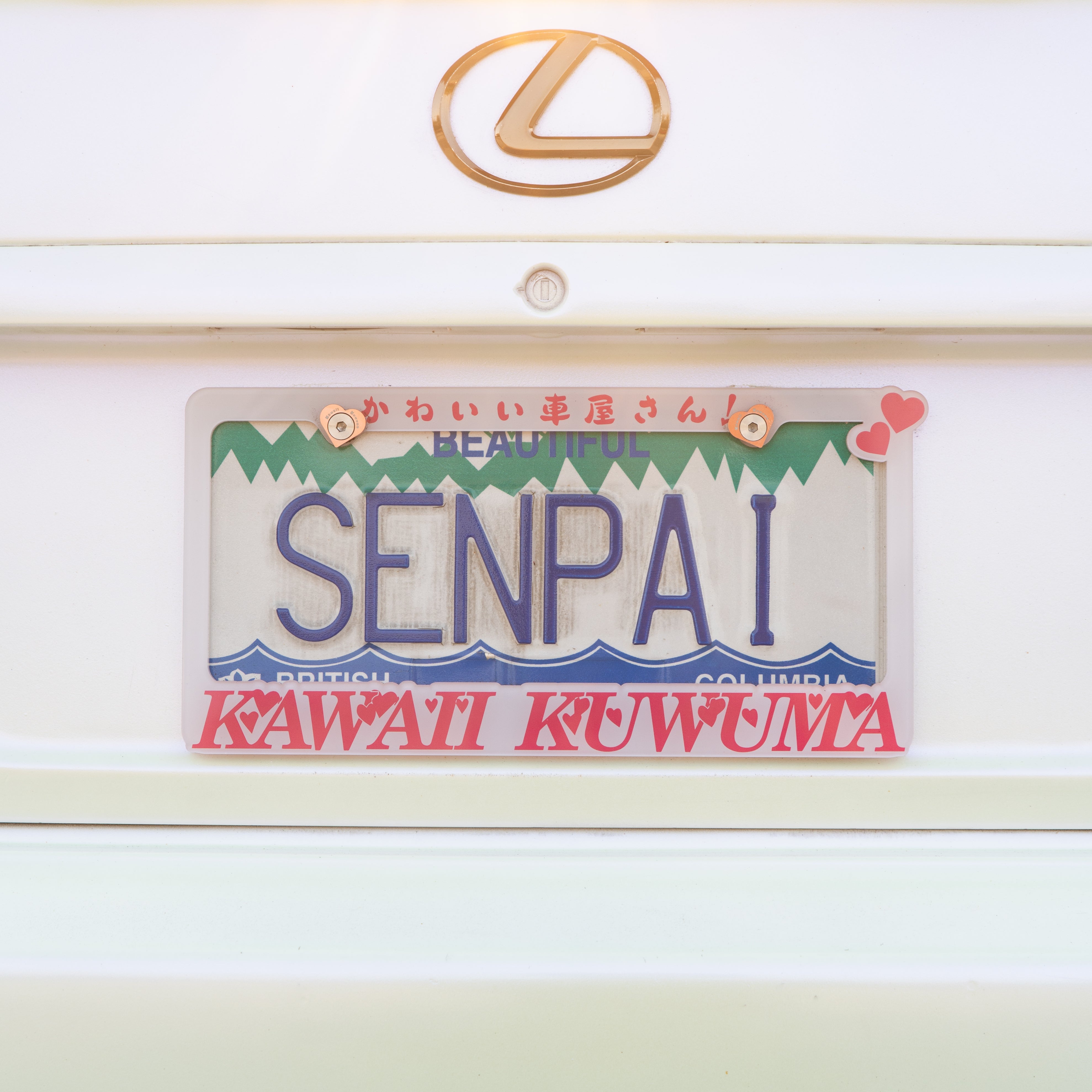 Kawaii Hearts License Plate Frame