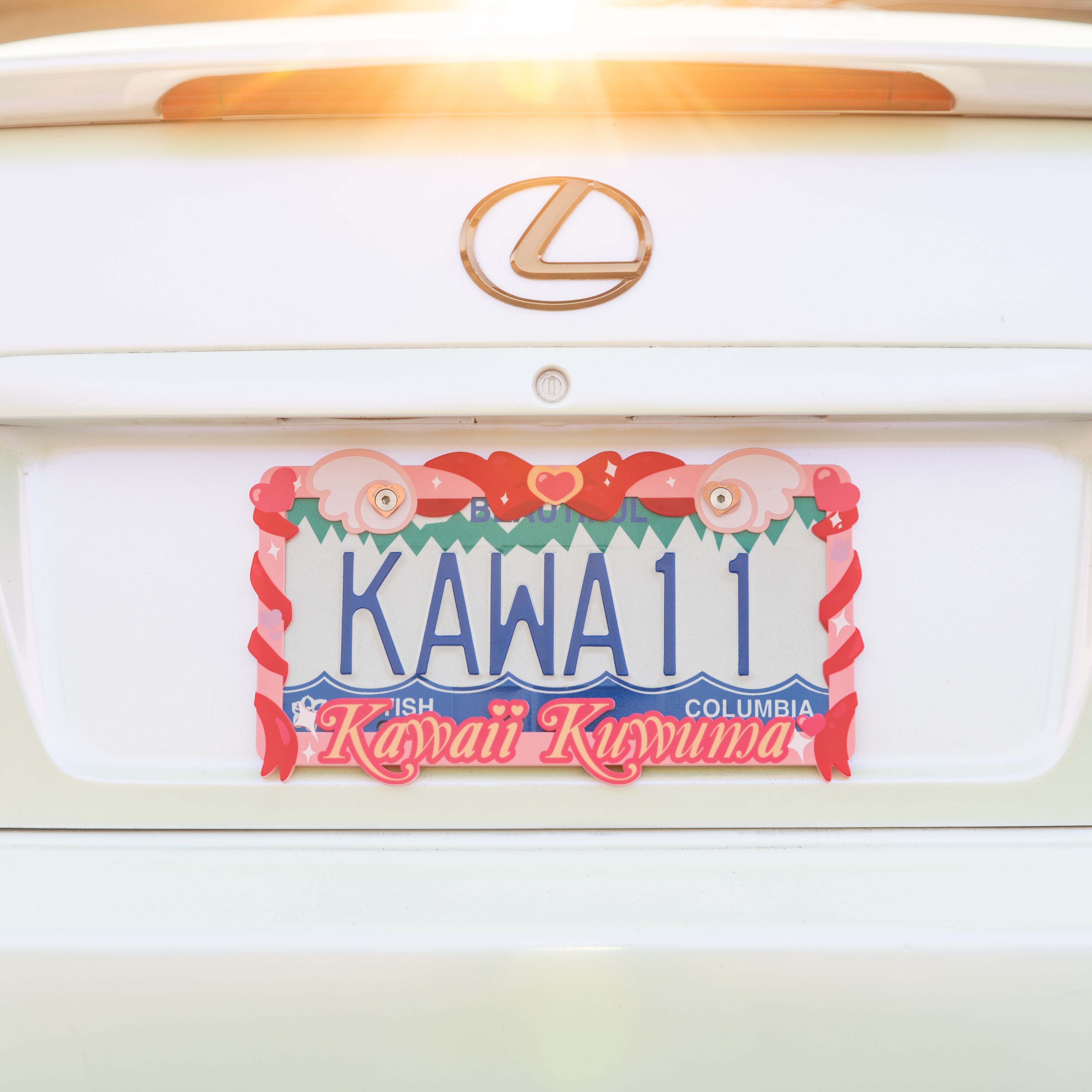 Magical License Plate Frame