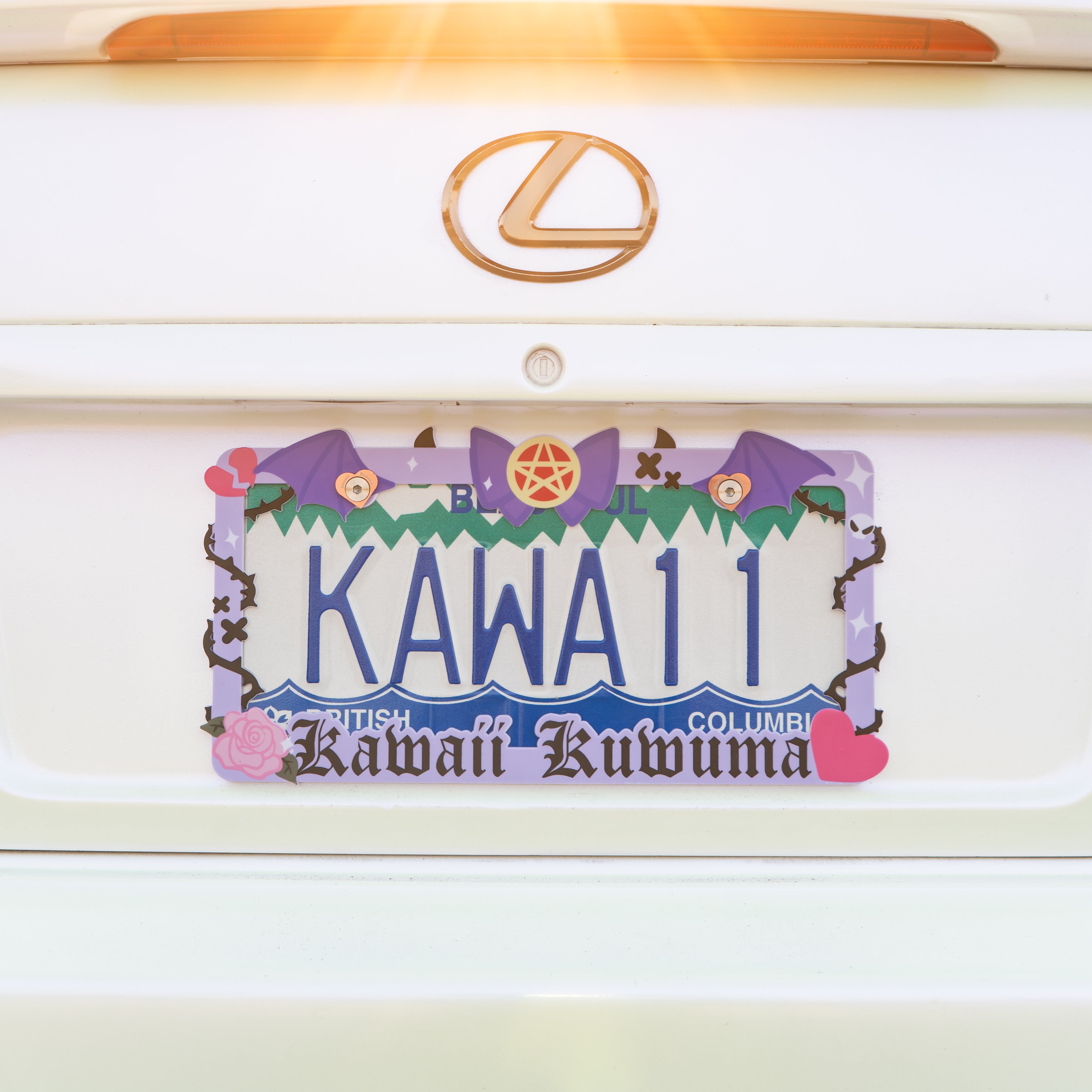 Dark Magical License Plate Frame