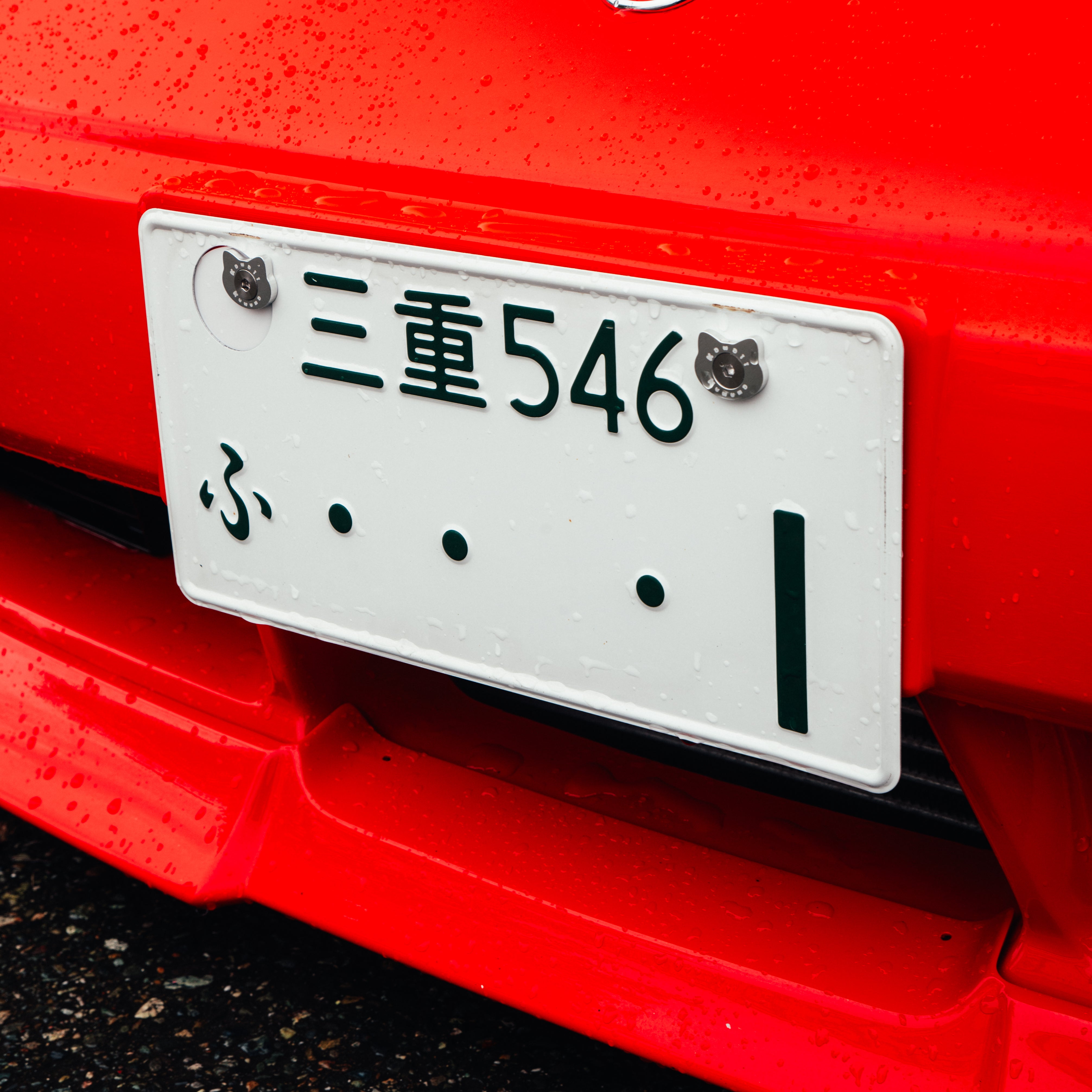 Cat Dress-Up Hardware