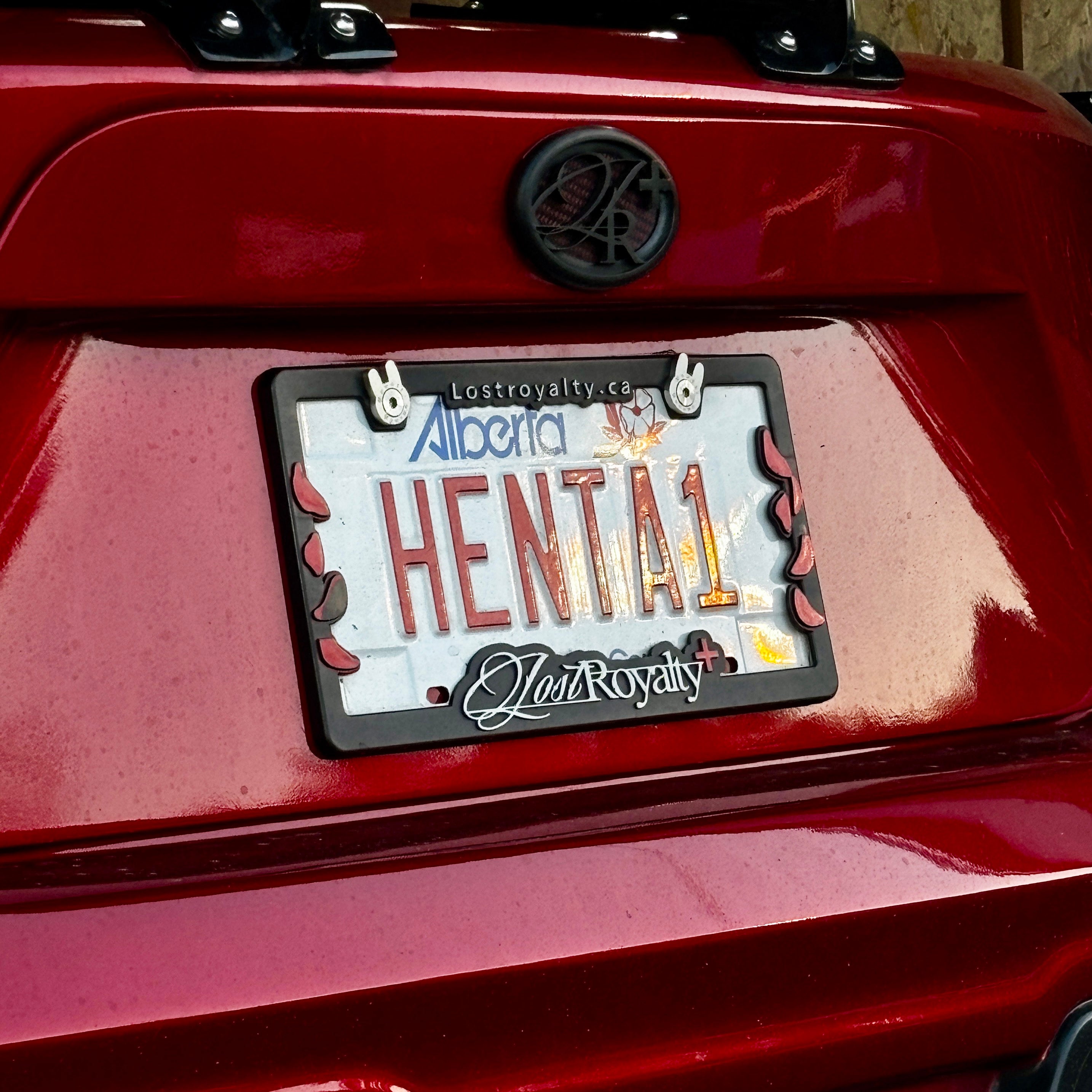 Bunny Dress-Up Hardware