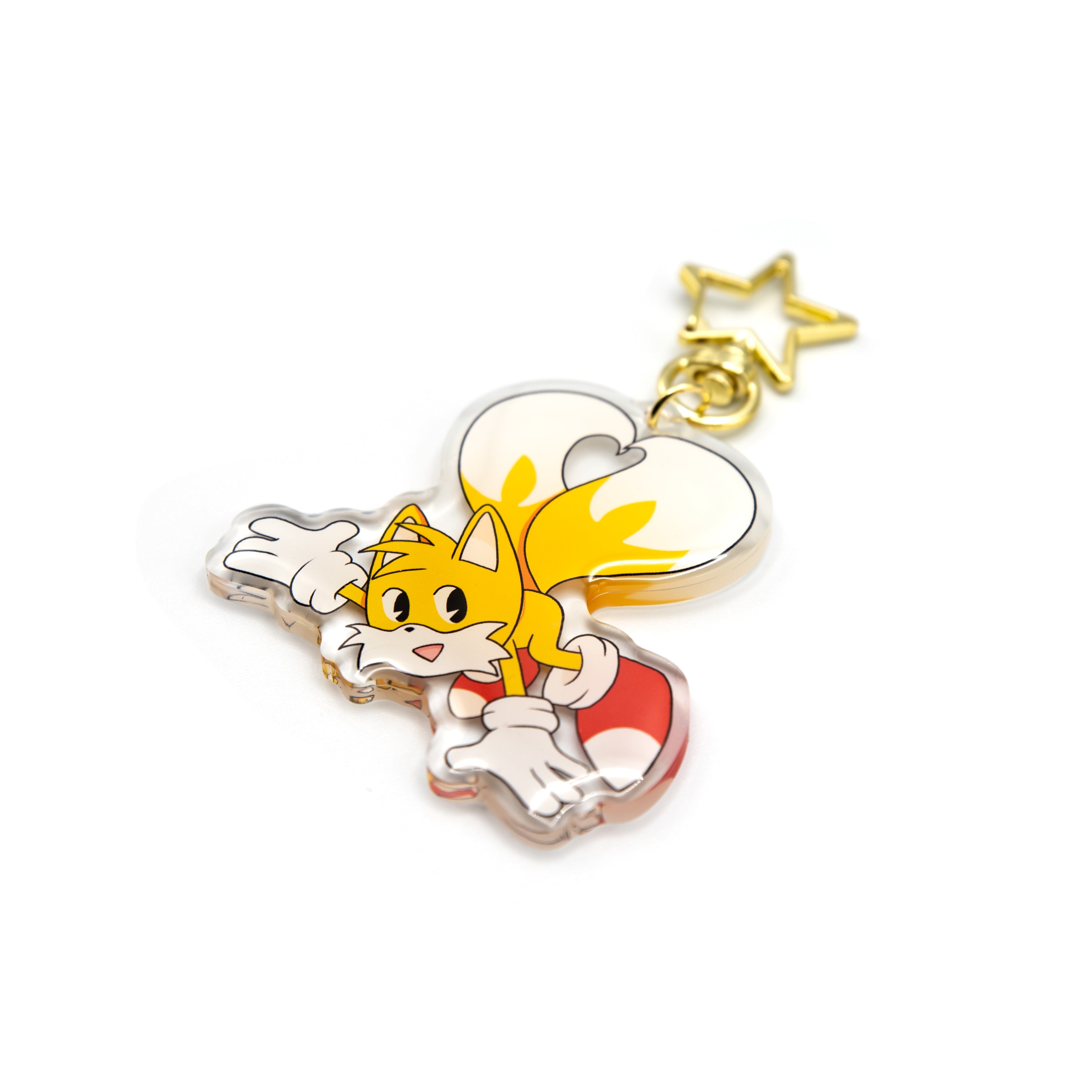 Tails Acrylic Resin Finished Charm