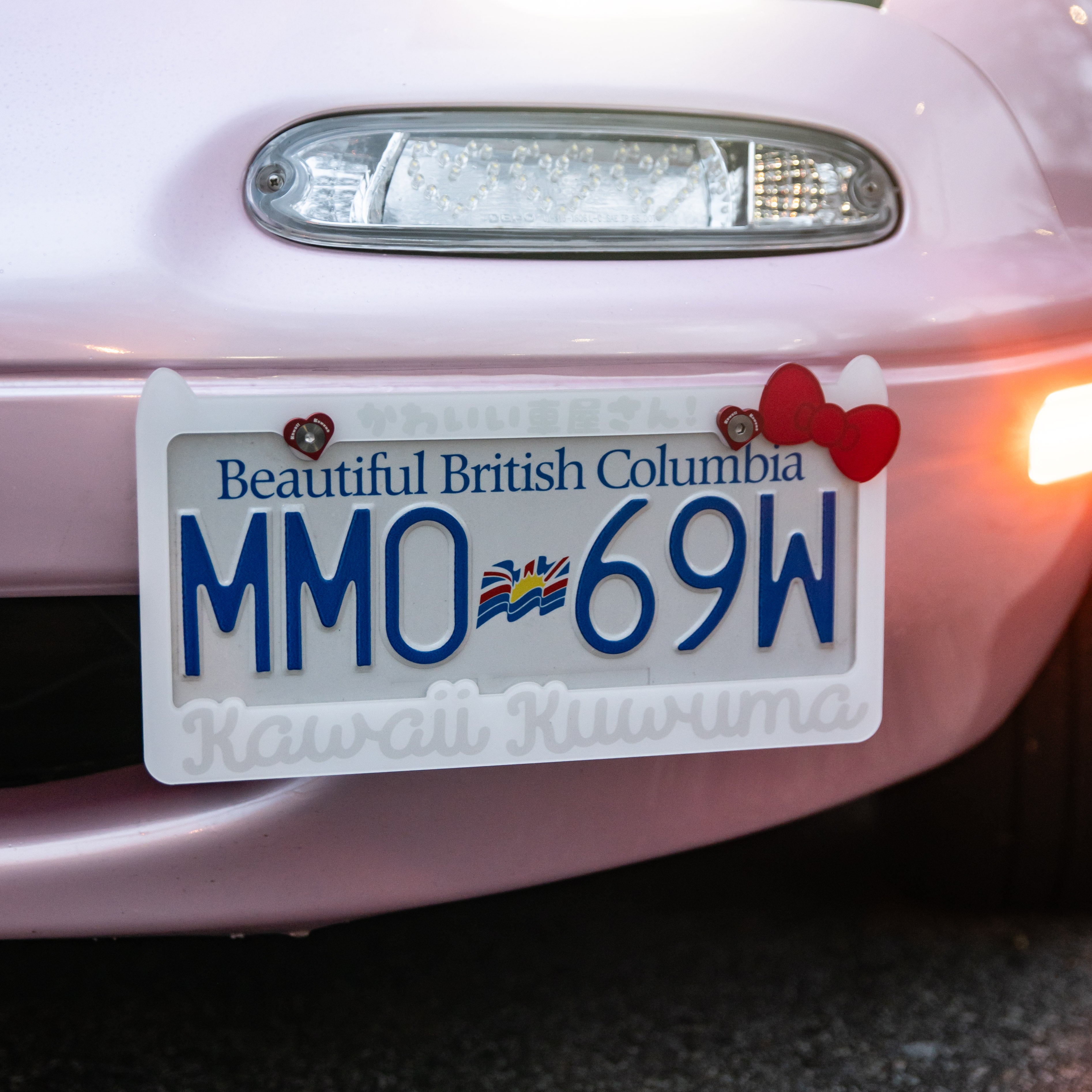 Kitty License Plate Frame