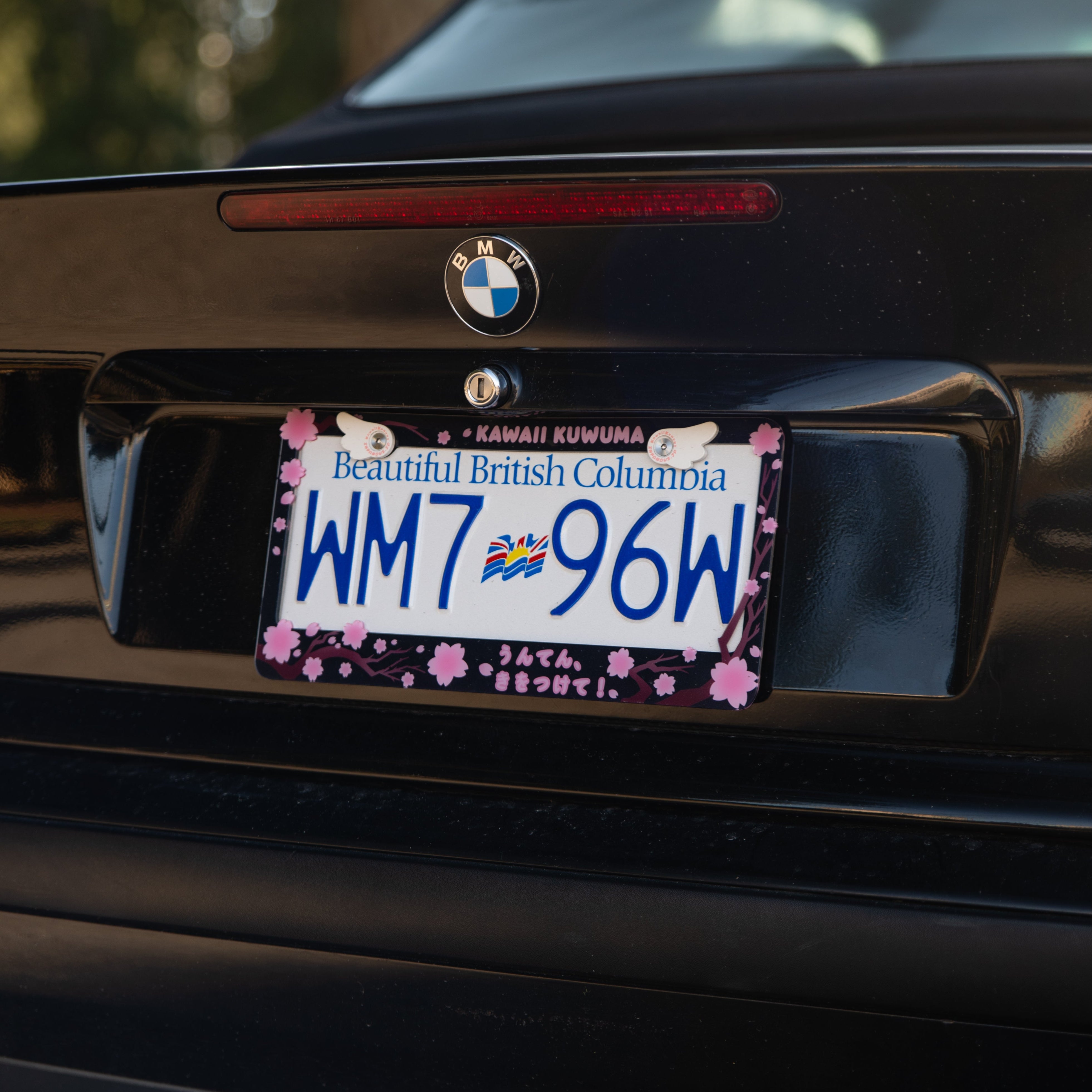 Cherry Blossom Sakura License Plate Frame