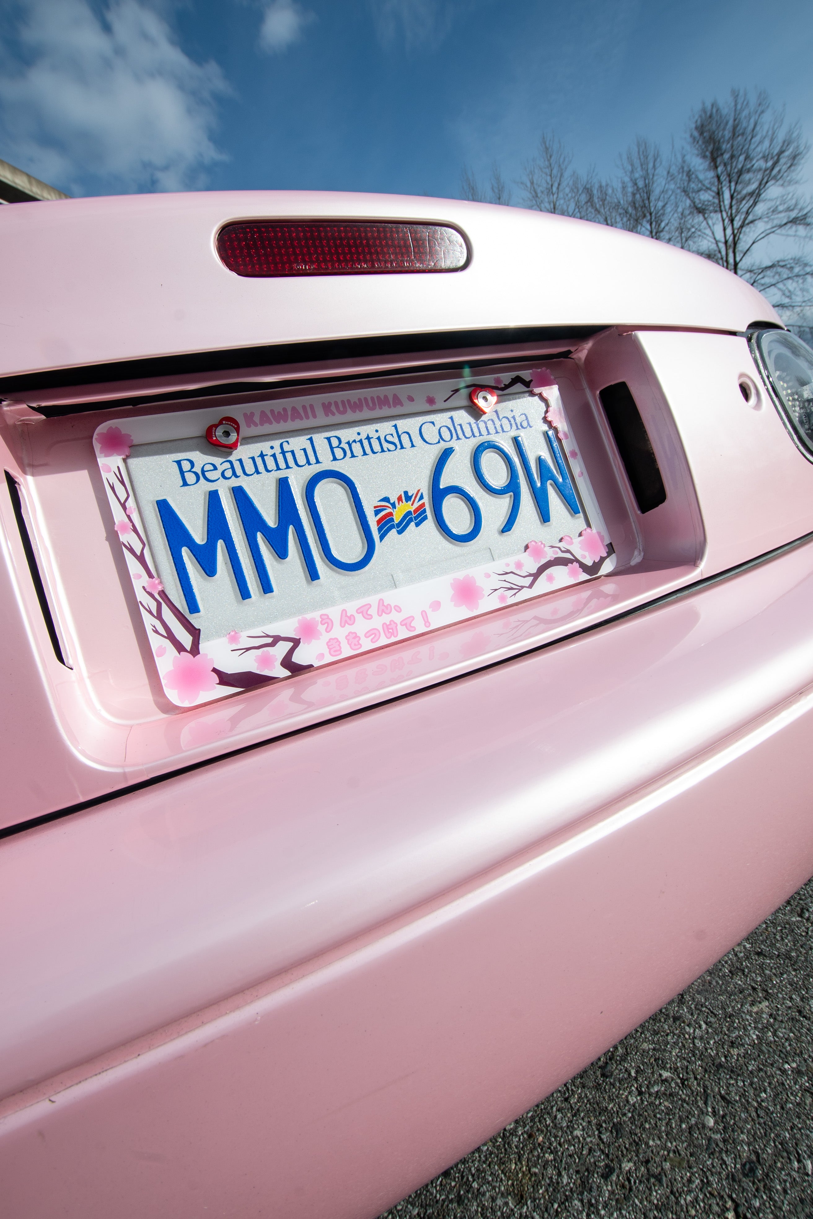 Cherry Blossom Sakura License Plate Frame