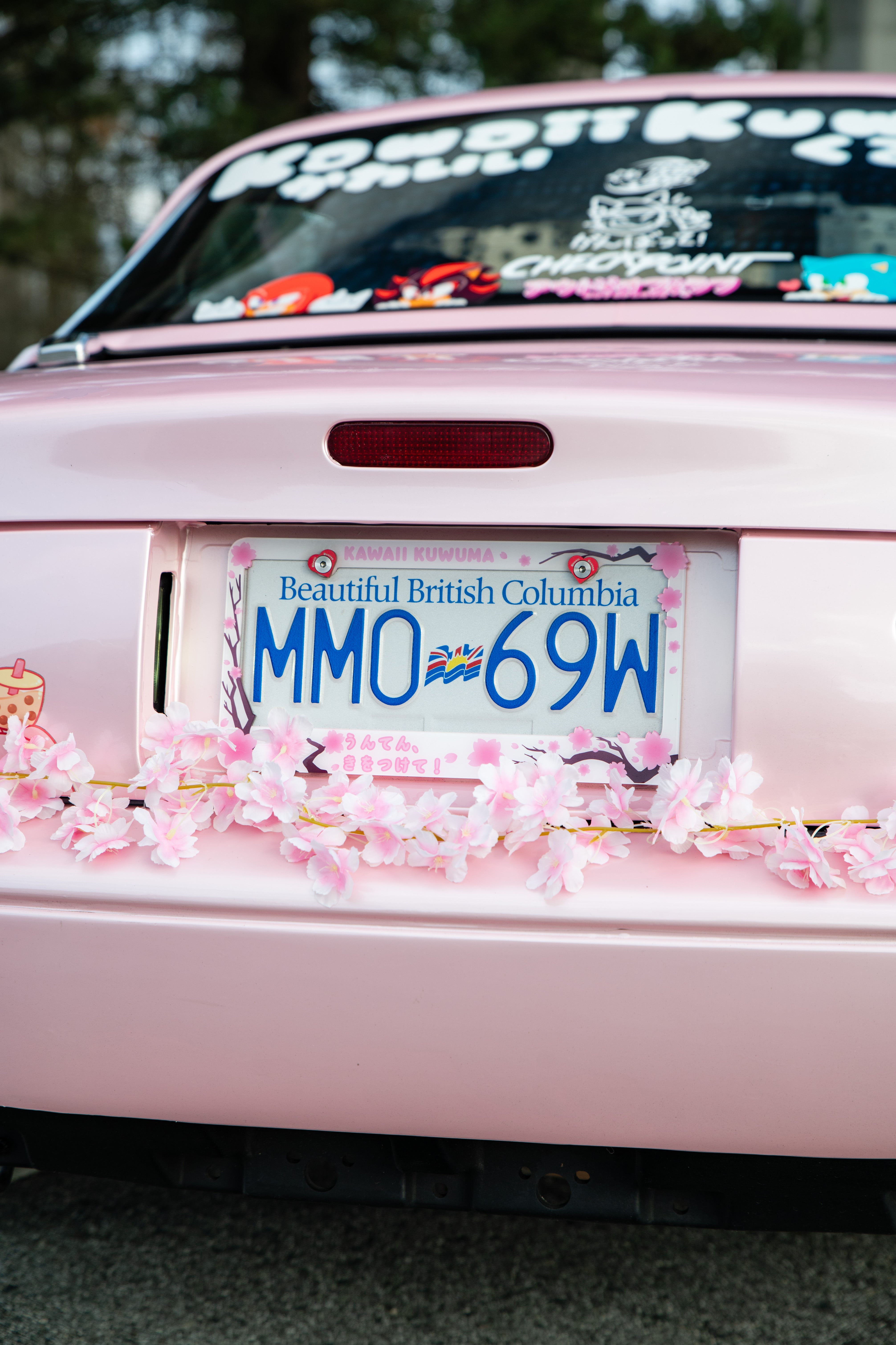 Cherry Blossom Sakura License Plate Frame