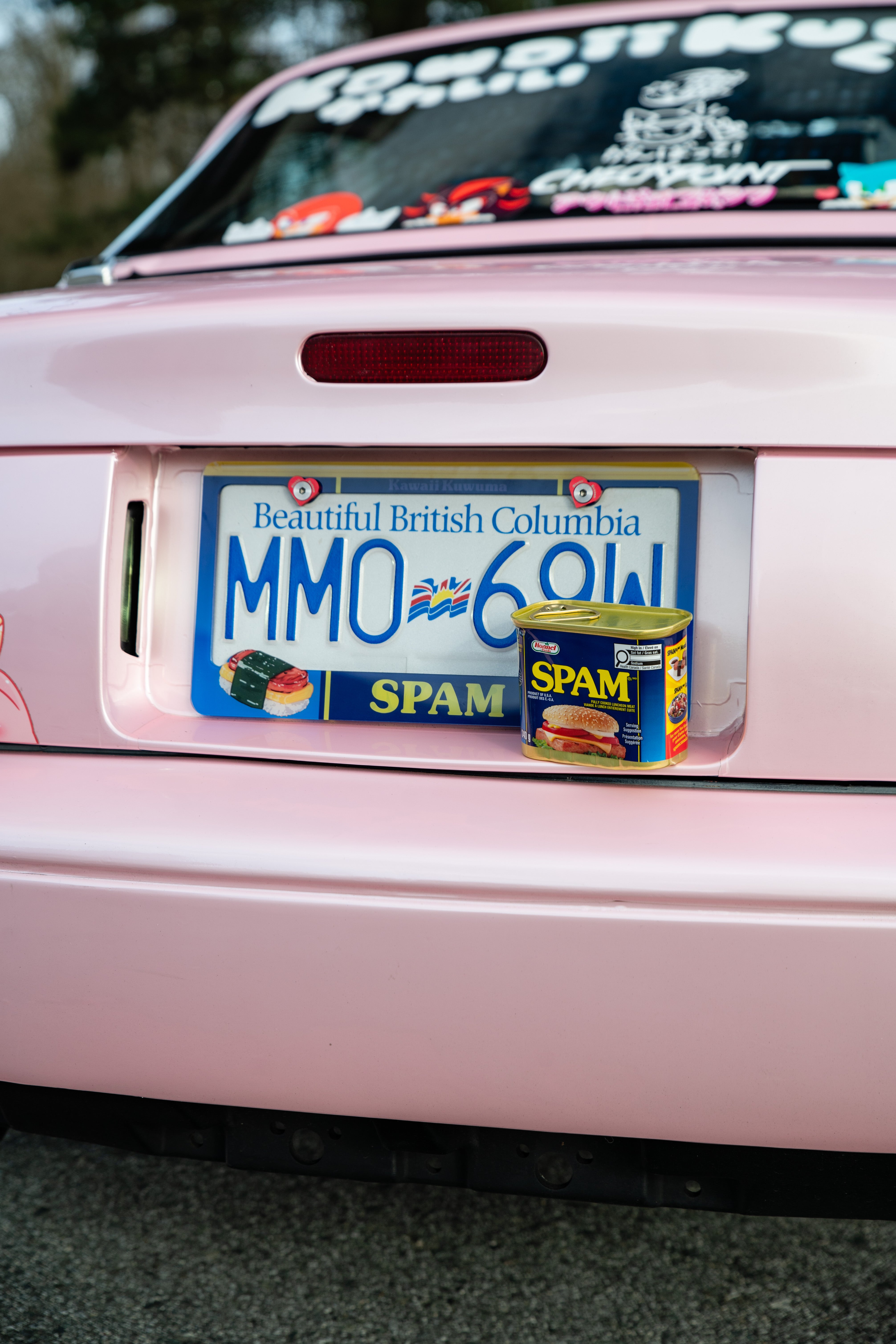 Luncheon spam License Plate Frame