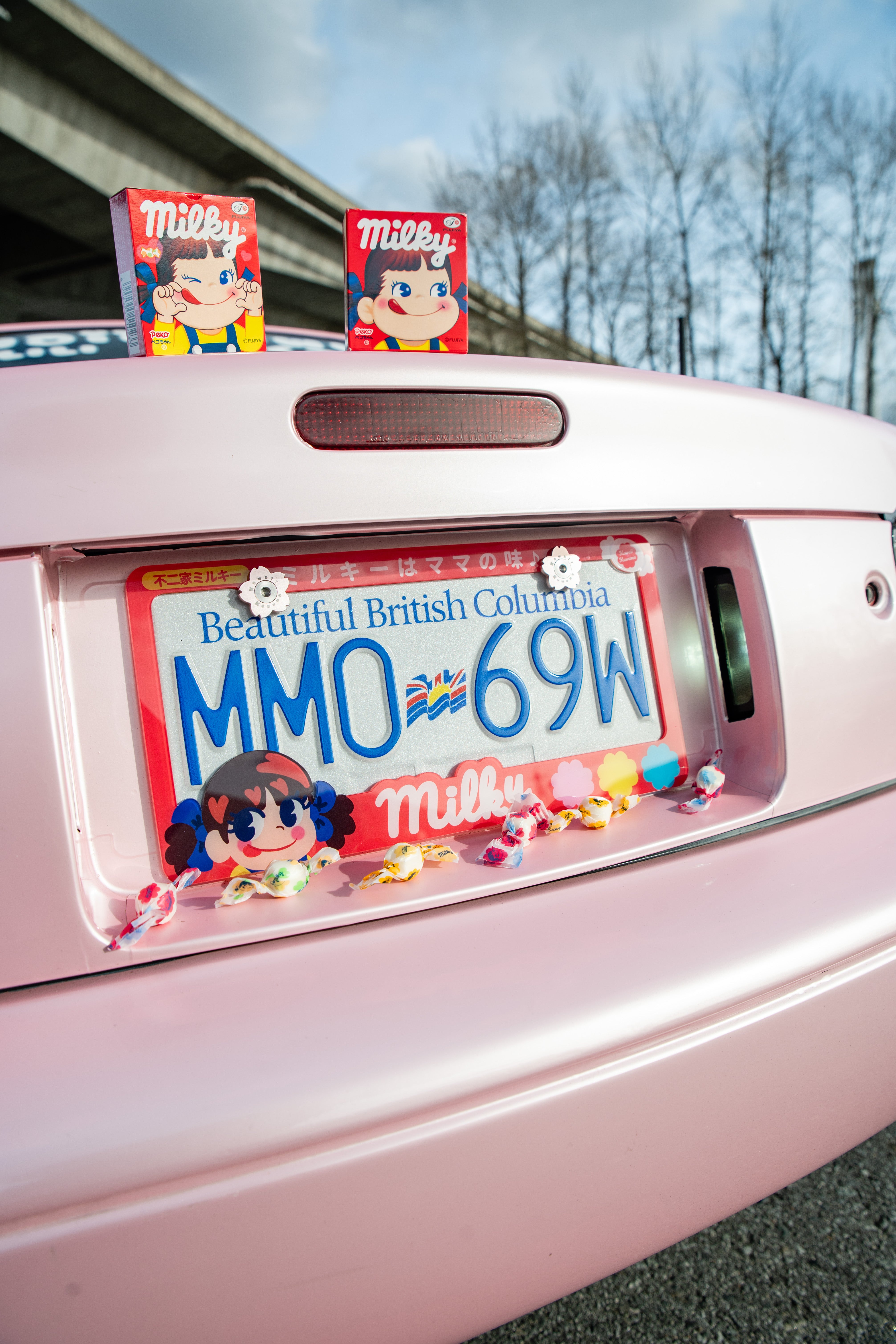 Red Milky License Plate Frame